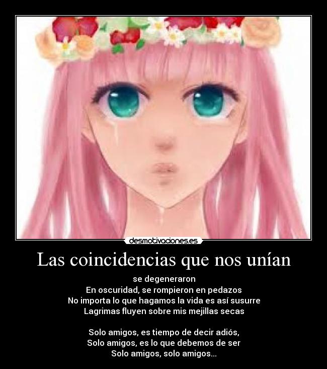 Las coincidencias que nos unían -