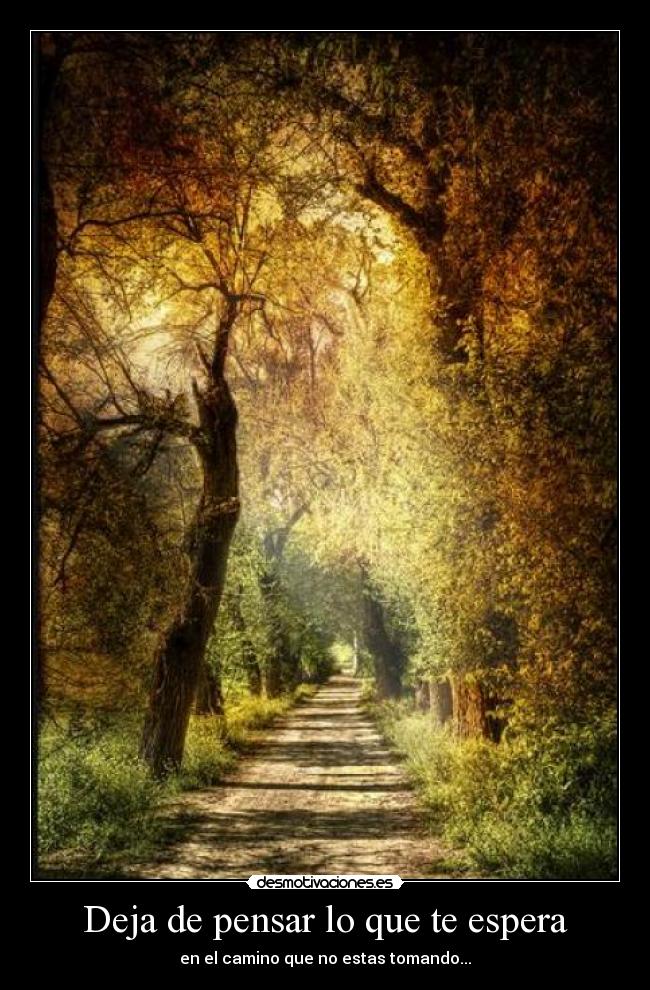 Deja de pensar lo que te espera - en el camino que no estas tomando...