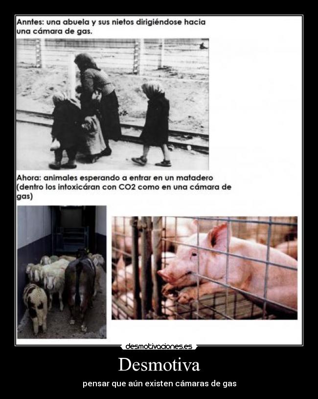 carteles camara gas animales nazis desmotivaciones