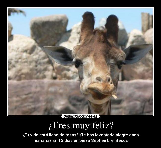 ¿Eres muy feliz? - ¿Tu vida está llena de rosas? ¿Te has levantado alegre cada
mañana? En 13 días empieza Septiembre. Besos