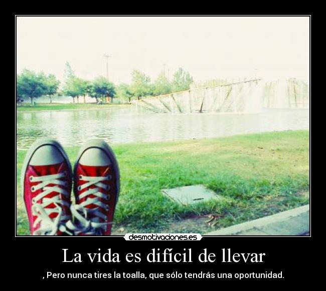 La vida es difícil de llevar -