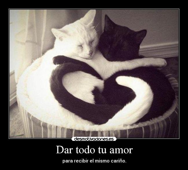 Dar todo tu amor - para recibir el mismo cariño.