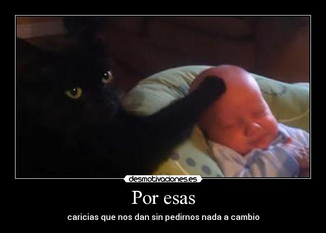 Por esas - caricias que nos dan sin pedirnos nada a cambio