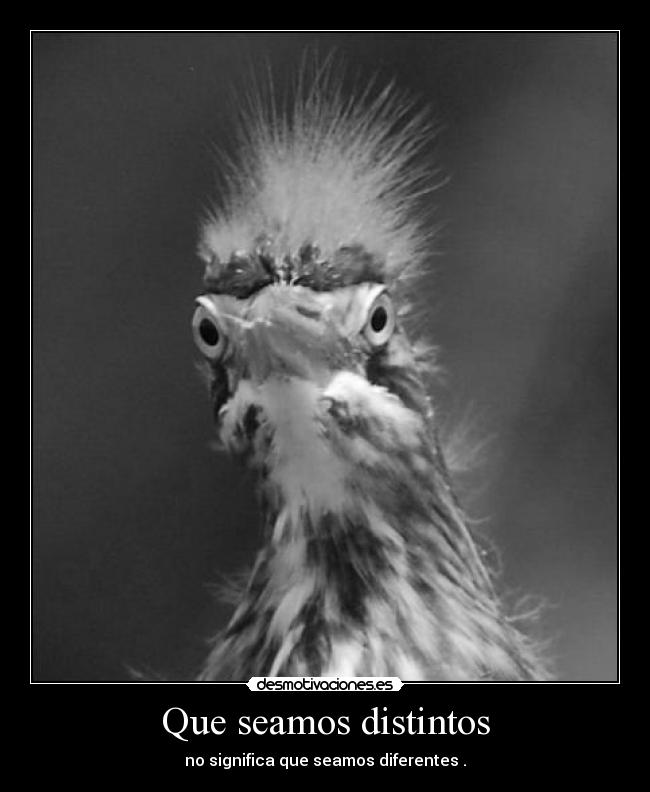 Que seamos distintos - no significa que seamos diferentes .