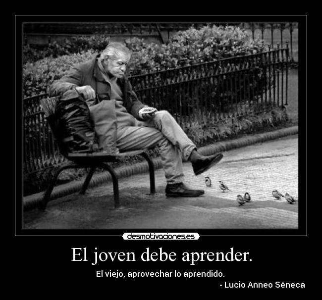 carteles joven debe aprender viejo aprovechar aprendido lucio anneo seneca desmotivaciones