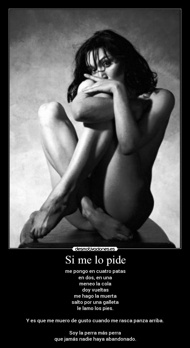 Si me lo pide - me pongo en cuatro patas
en dos, en una
meneo la cola
doy vueltas
me hago la muerta
salto por una galleta
le lamo los pies.
Y es que me muero de gusto cuando me rasca panza arriba.
Soy la perra más perra
que jamás nadie haya abandonado.