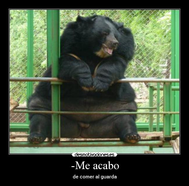 -Me acabo - de comer al guarda