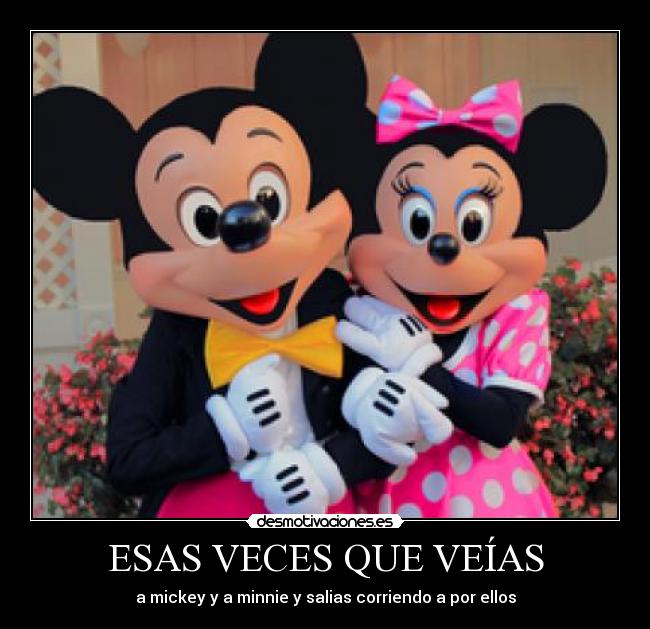 ESAS VECES QUE VEÍAS - a mickey y a minnie y salias corriendo a por ellos