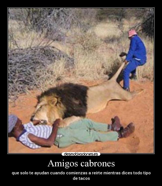 Amigos cabrones -