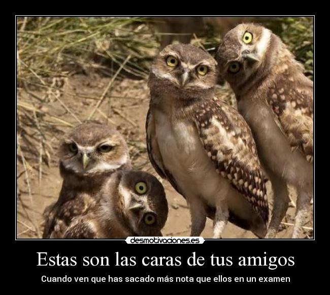 Estas son las caras de tus amigos - Cuando ven que has sacado más nota que ellos en un examen
