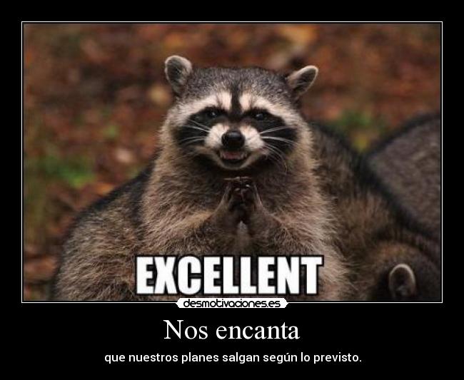 carteles mapache excellent planes desmotivaciones