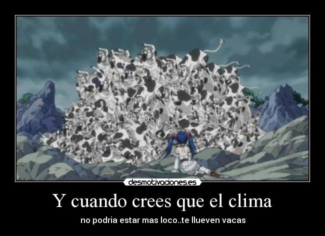 Y cuando crees que el clima - no podria estar mas loco..te llueven vacas