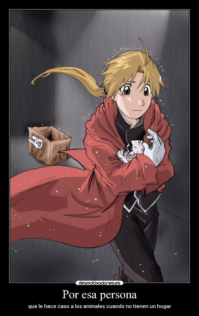 Por esa persona - que le hace caso a los animales cuando no tienen un hogar