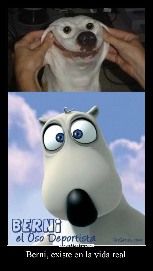 Berni, existe en la vida real. - 