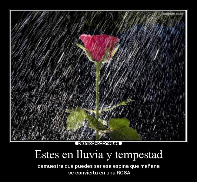 Estes en lluvia y tempestad - demuestra que puedes ser esa espina que mañana
 se convierta en una ROSA
