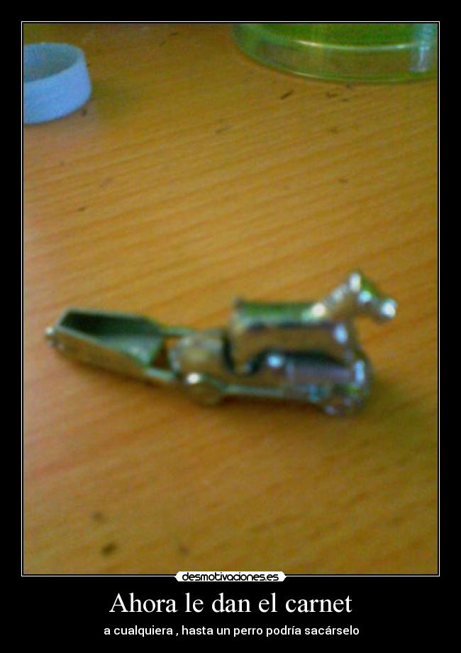 Ahora le dan el carnet -