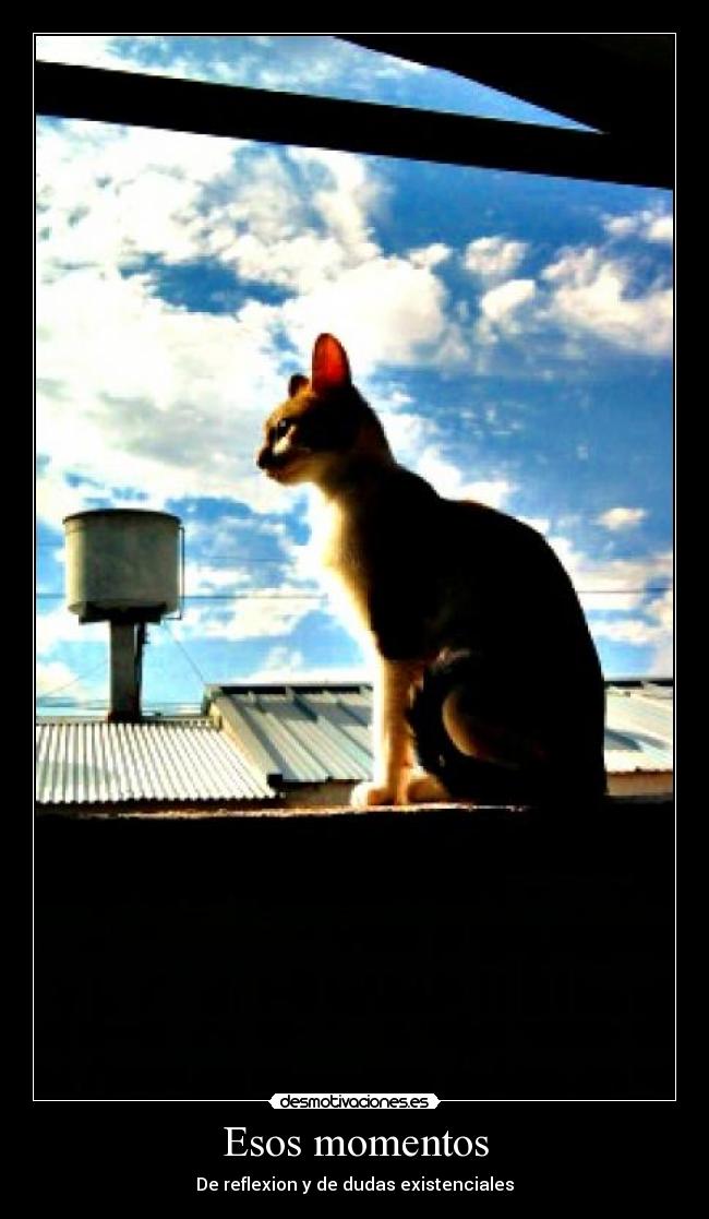 Esos momentos - De reflexion y de dudas existenciales