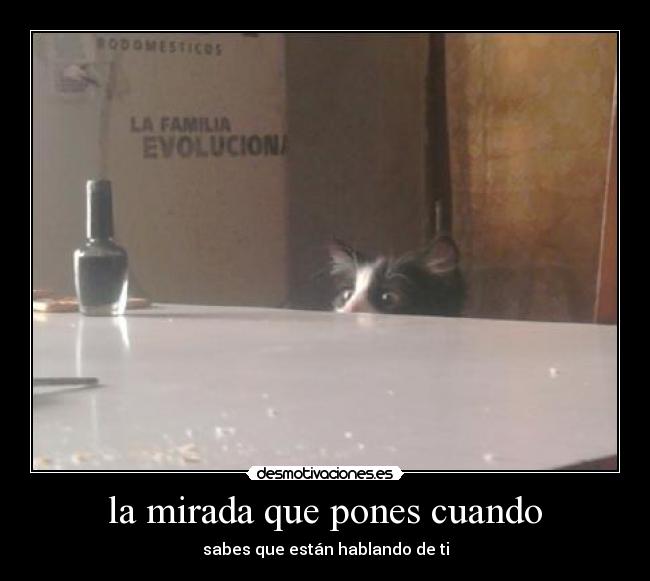 la mirada que pones cuando -