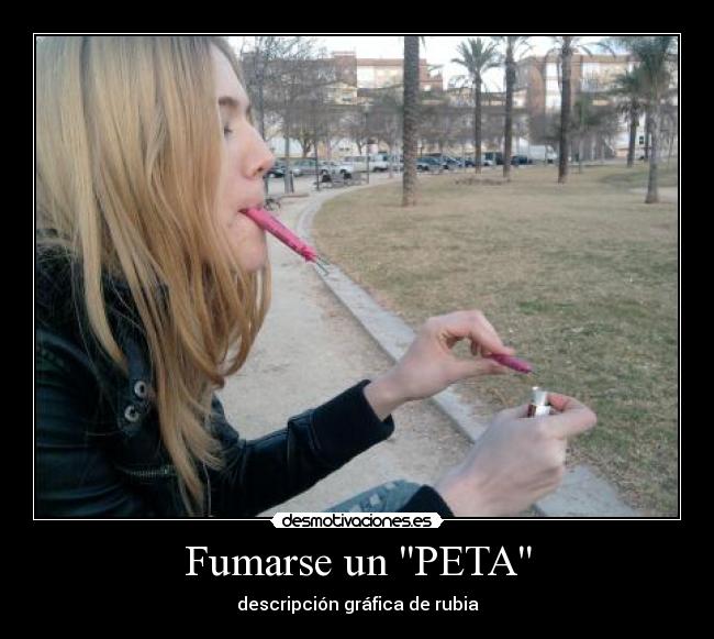 carteles rubia tonta peta desmotivaciones