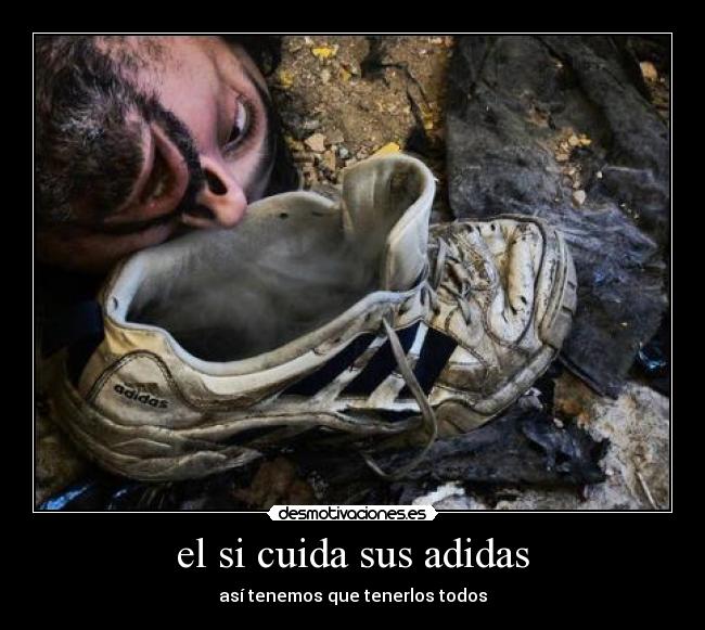 el si cuida sus adidas - 