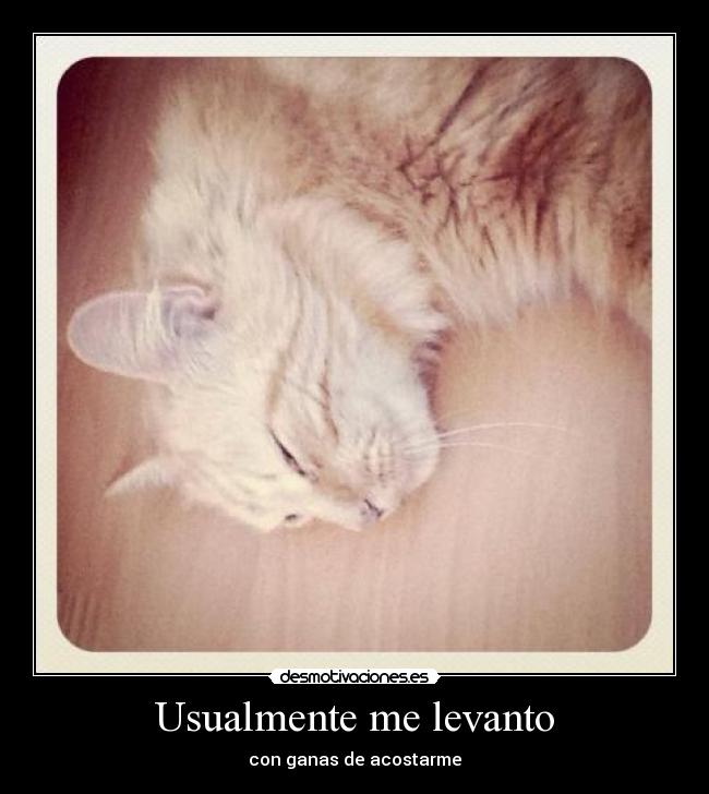 Usualmente me levanto - con ganas de acostarme