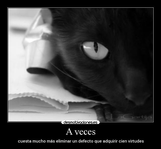 A veces - cuesta mucho más eliminar un defecto que adquirir cien virtudes
