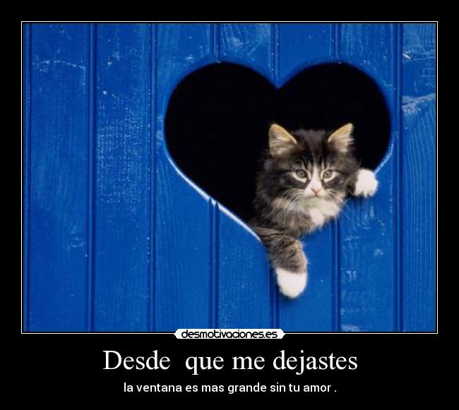 Desde que me dejastes - la ventana es mas grande sin tu amor .