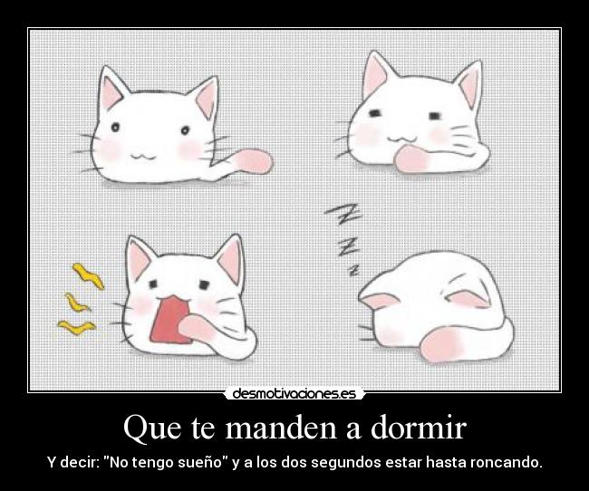 carteles dormir anime neko lucky star mandan dormir pero tenia que poner algo sakuby abby desmotivaciones