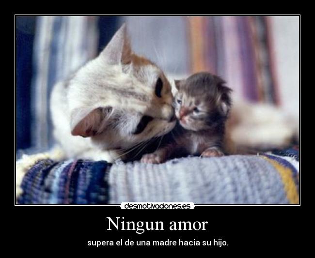Ningun amor -