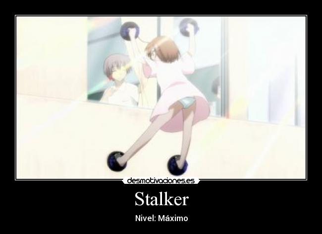 Stalker - Nivel: Máximo