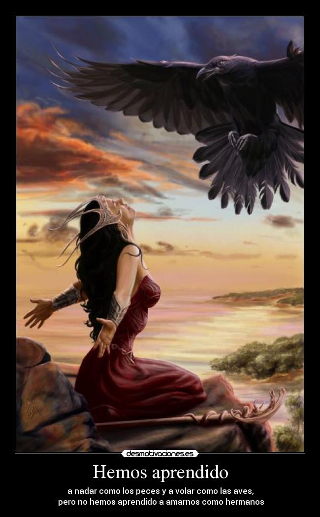 Hemos aprendido - a nadar como los peces y a volar como las aves,
pero no hemos aprendido a amarnos como hermanos