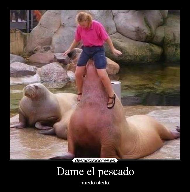 carteles olor desmotivaciones