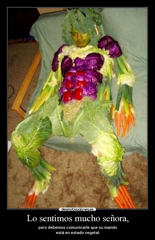 Lo sentimos mucho señora, -