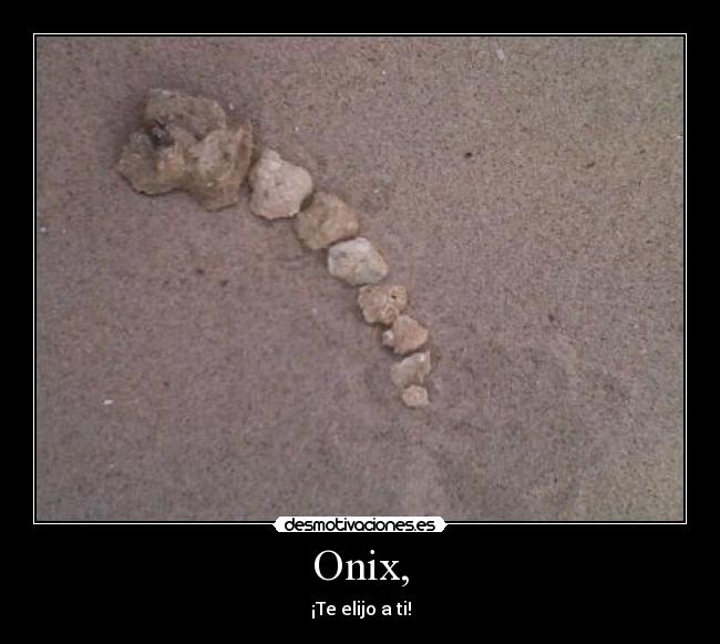 Onix, - ¡Te elijo a ti!