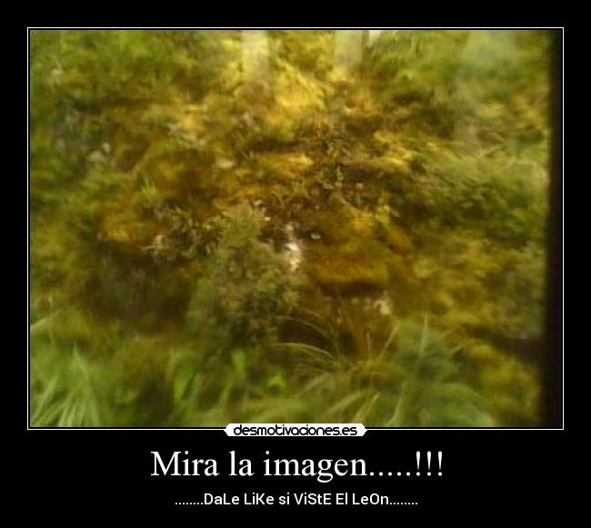 Mira la imagen.....!!! -