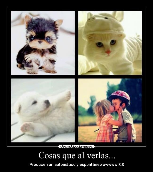 Cosas que al verlas... - Producen un automático y espontáneo awwww:$:$