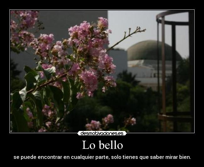 Lo bello - 