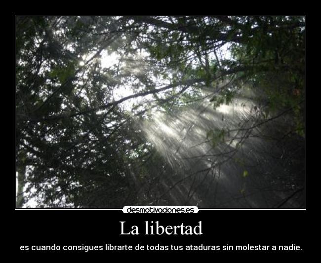 La libertad - es cuando consigues librarte de todas tus ataduras sin molestar a nadie.