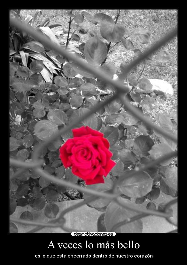A veces lo más bello - es lo que esta encerrado dentro de nuestro corazón