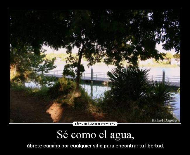 Sé como el agua, - ábrete camino por cualquier sitio para encontrar tu libertad.