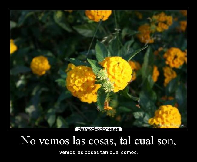 No vemos las cosas, tal cual son, - vemos las cosas tan cual somos.
