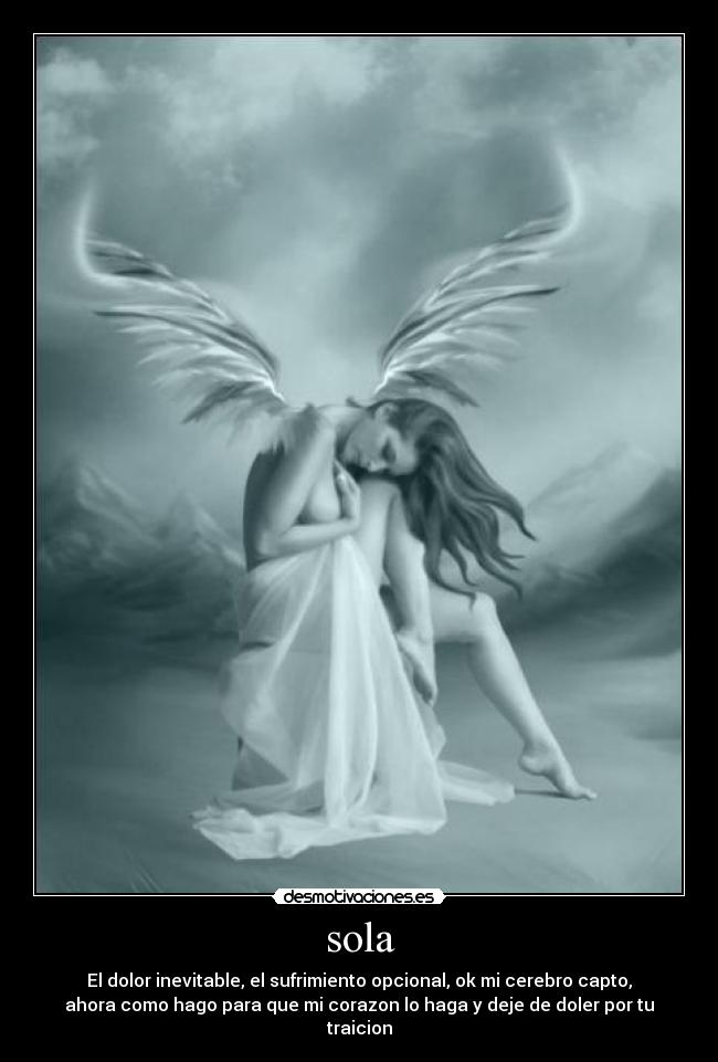 sola - El dolor inevitable, el sufrimiento opcional, ok mi cerebro capto,
ahora como hago para que mi corazon lo haga y deje de doler por tu
traicion