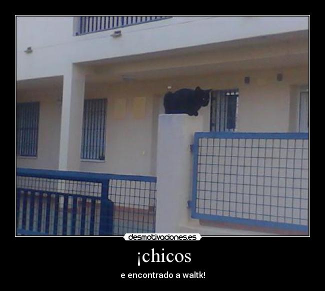 ¡chicos - e encontrado a waltk!