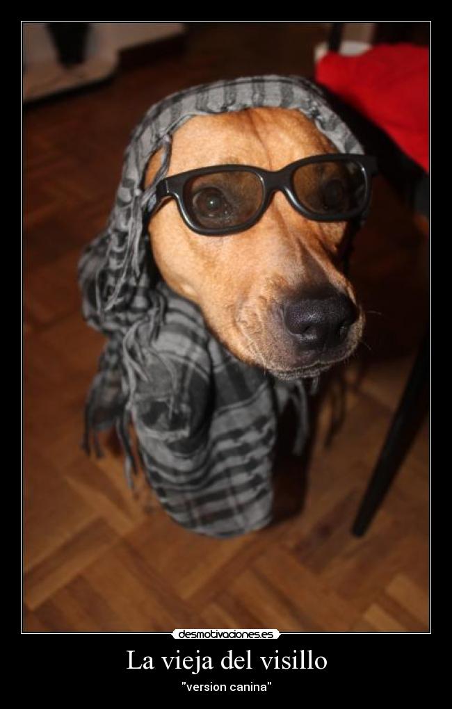 La vieja del visillo - version canina