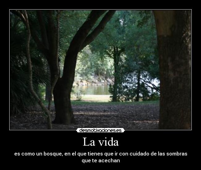 La vida - es como un bosque, en el que tienes que ir con cuidado de las sombras
que te acechan