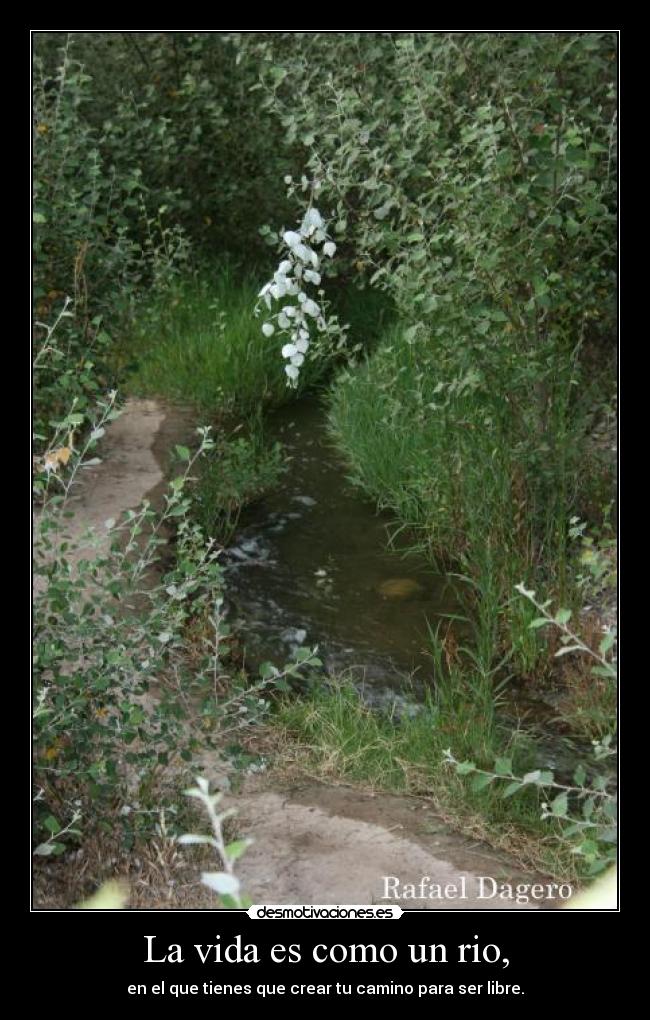 La vida es como un rio, - en el que tienes que crear tu camino para ser libre.