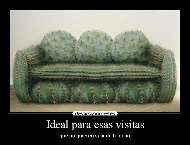 Ideal para esas visitas -