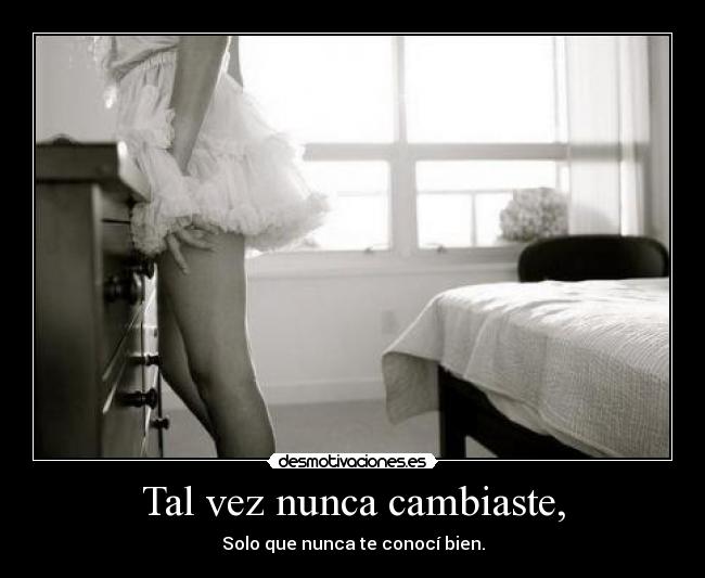 Tal vez nunca cambiaste, - Solo que nunca te conocí bien.