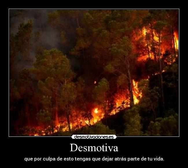 carteles incendio desmotivaciones