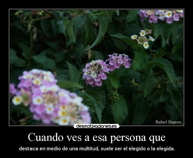 Cuando ves a esa persona que - destaca en medio de una multitud, suele ser el elegido o la elegida.